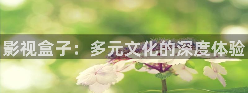 南瓜有几种：影视盒子：多元文化的深度体验