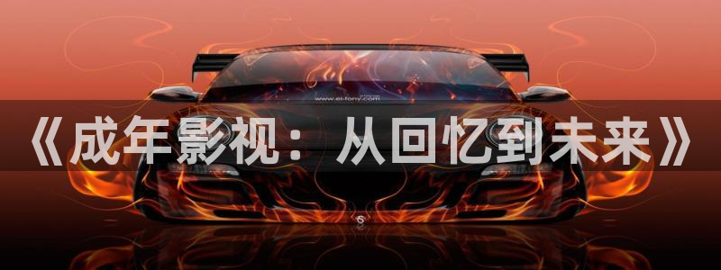 乐至南瓜：《成年影视：从回忆到未来》