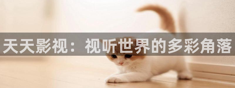云南南瓜
