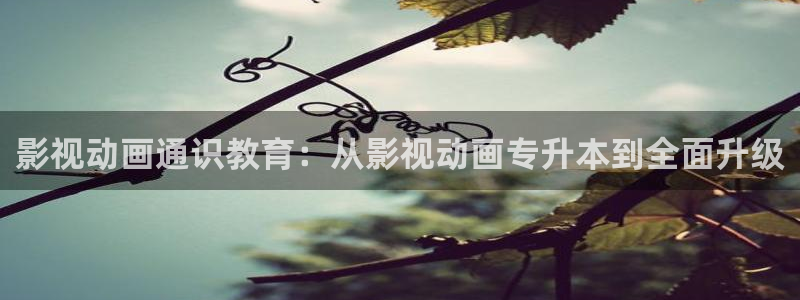 南瓜影院免费观看电视剧