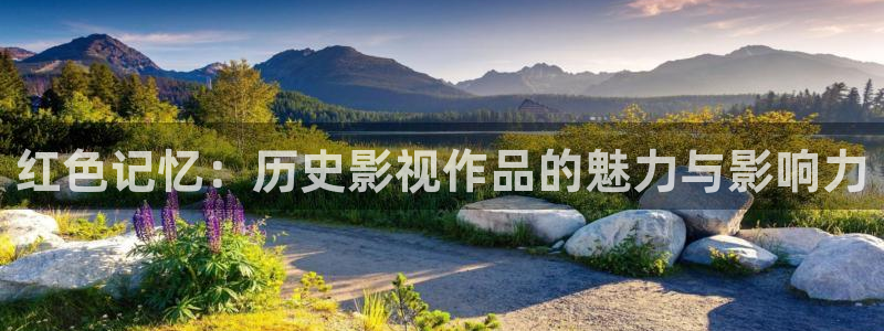 南瓜影视在线观看免费高清电视剧