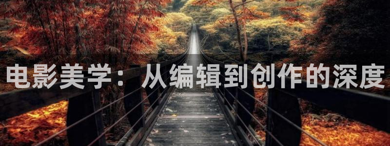 南瓜电影是什么